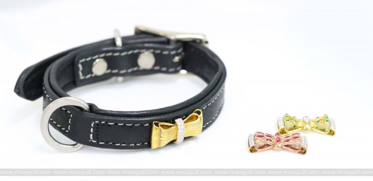 UAE’s First Real Diamond And Gemstone Dog Collars